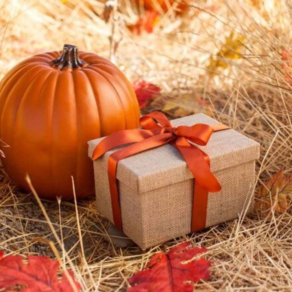 Autumn Clothing Mystery Box with Free Jewelry